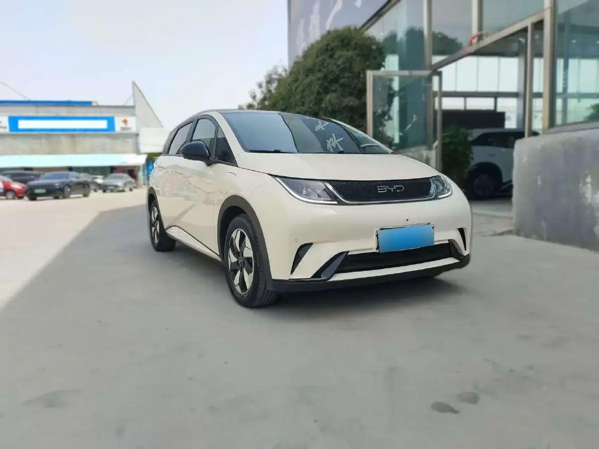 2024 BYD Dolphin BEV 44.928KWH