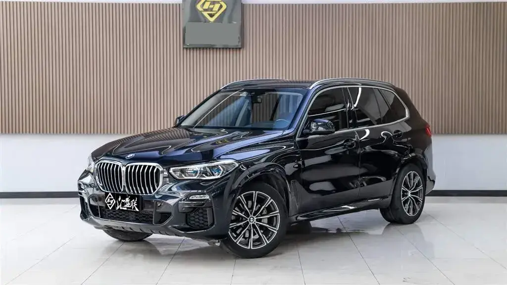 2019 BMW X5 2.0T 265HP L4 8AT