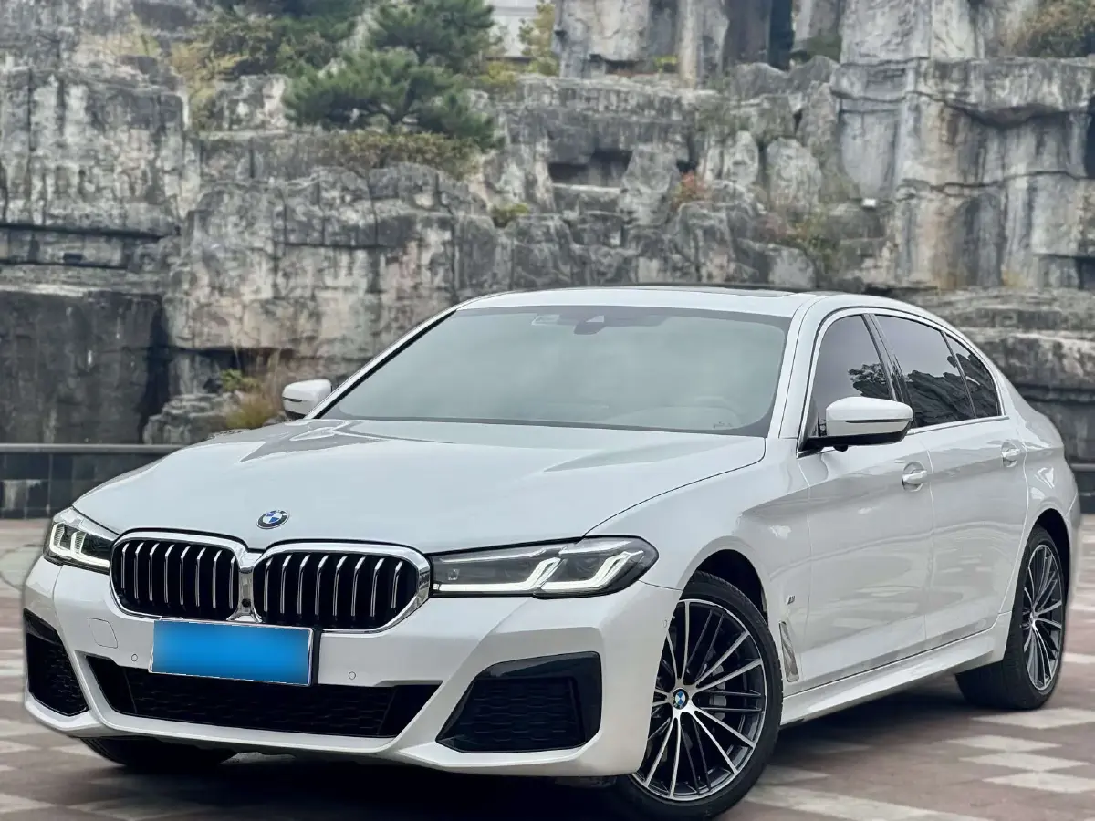 2021 BMW 5 Series 2.0T 252HP L4 8AT