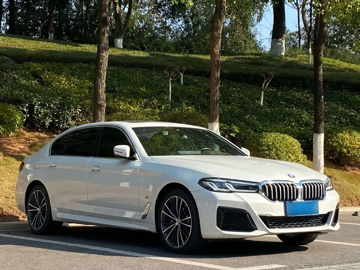 2022 BMW 5 Series 2.0T 252HP L4 8AT