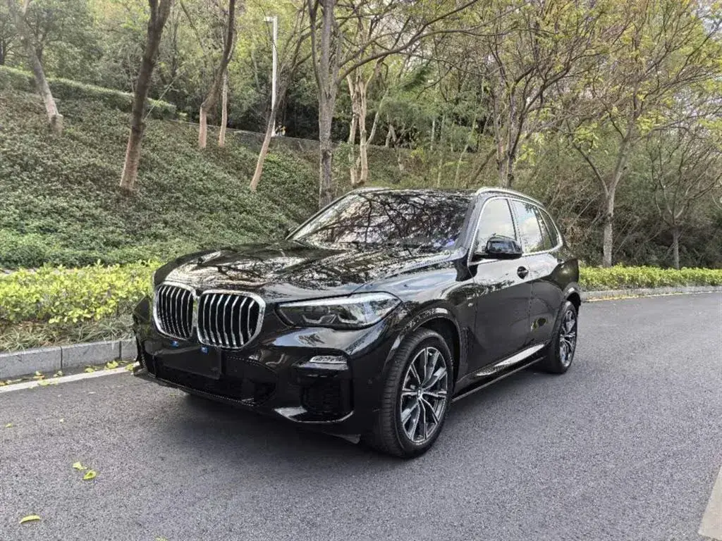2021 BMW X5 2.0T 265HP L4 8AT