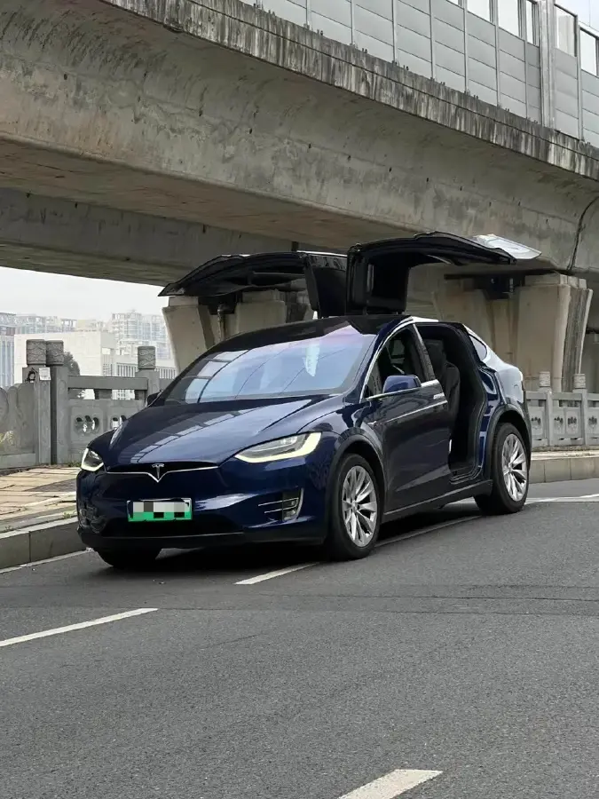 2019 Tesla Model X BEV 100KWH