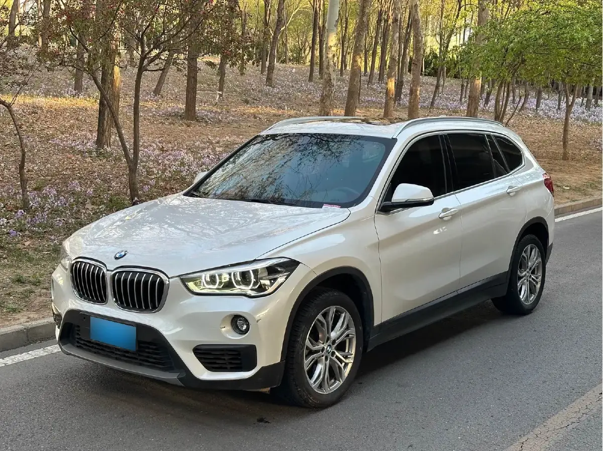 2019 BMW X1 2.0T 192HP L4 8AT