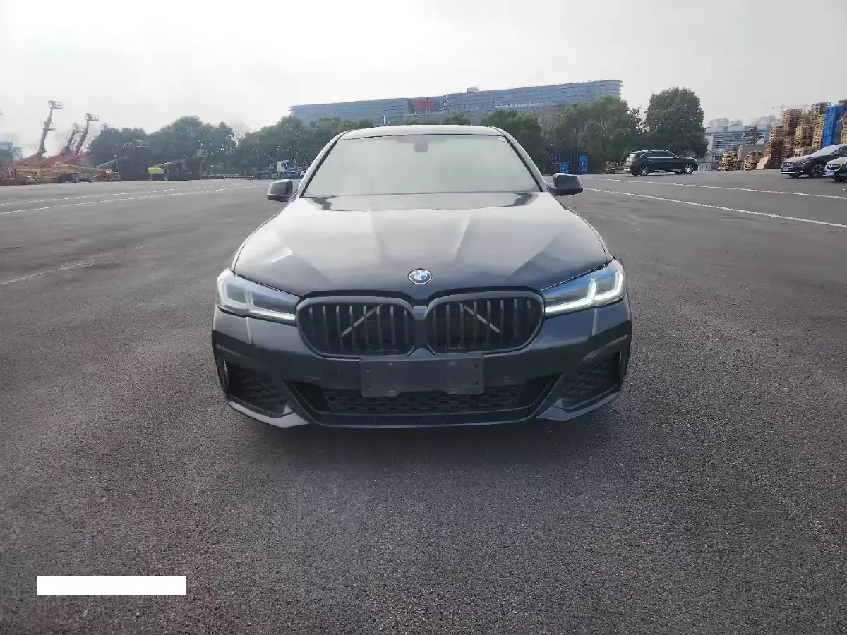 2010 BMW 5 Series 2.5L 163HP L6 6AT