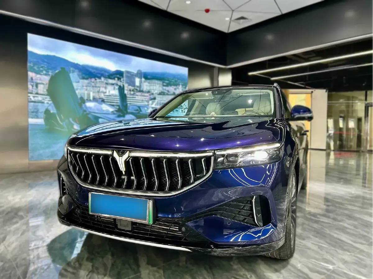 2021 Voyah FREE Range Extended 109HP REEV 33KWH