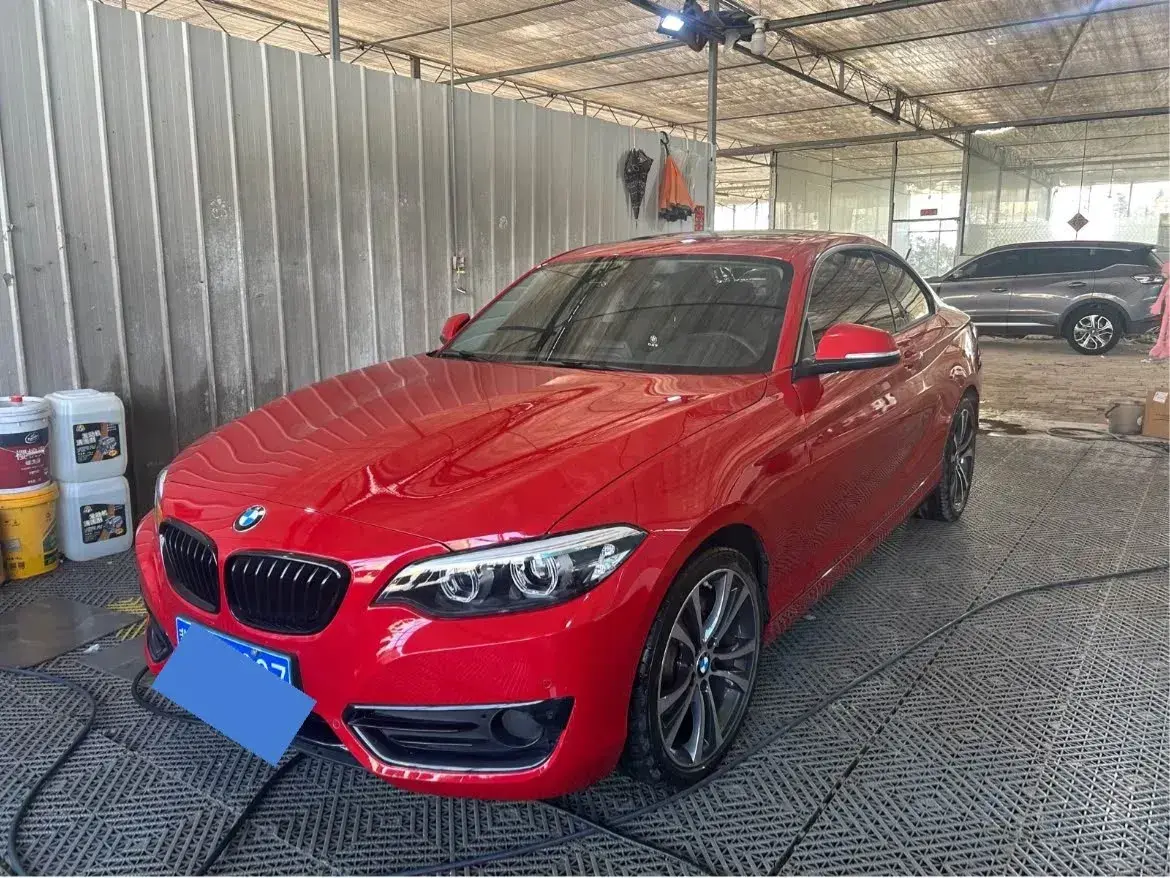 2019 BMW 2 Series 2.0T 184HP L4 8AT