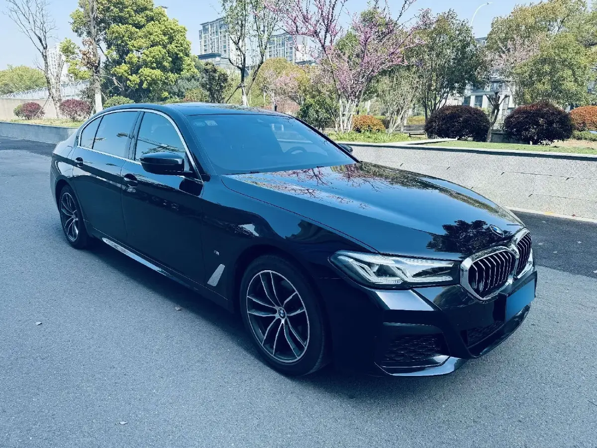 2021 BMW 5 Series 2.0T 184HP L4 8AT