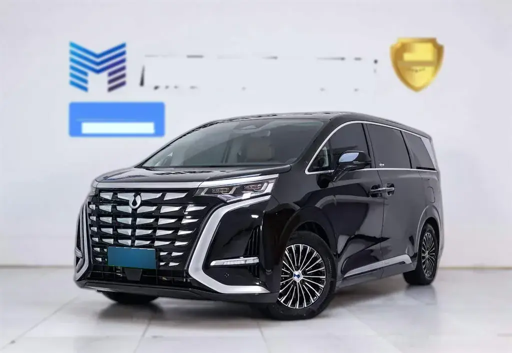 2022 Denza D9 1.5T 139HP L4 E-CVT PHEV 40.06KWH