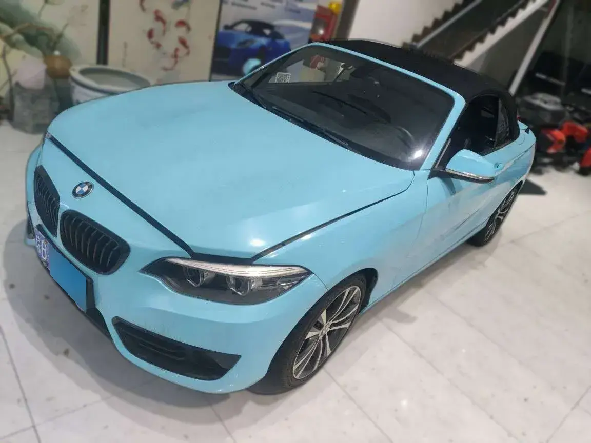 2019 BMW 2 Series 2.0T 184HP L4 8AT