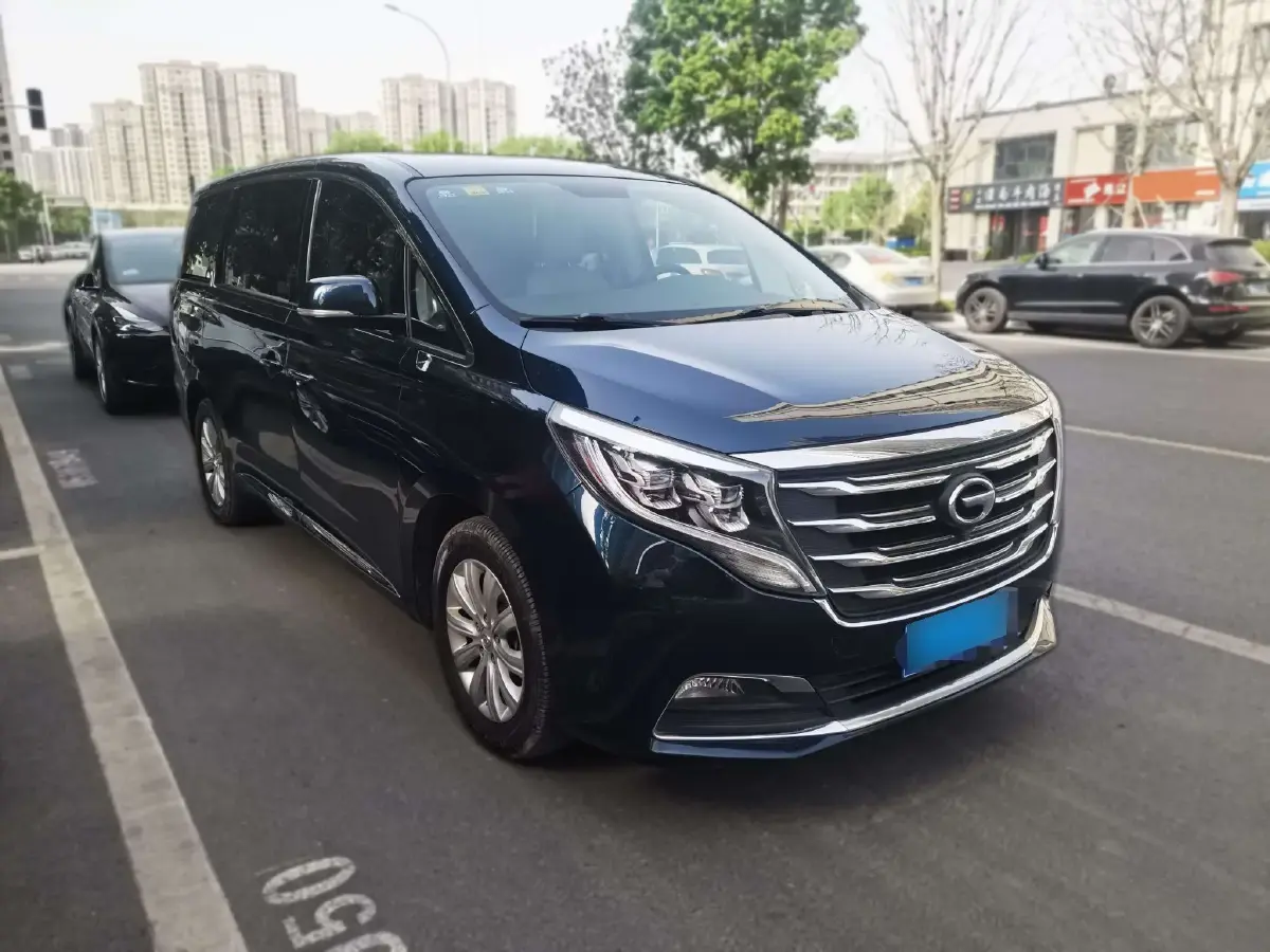 2018 GAC Trumpchi M8 2.0T 201HP L4 6AT