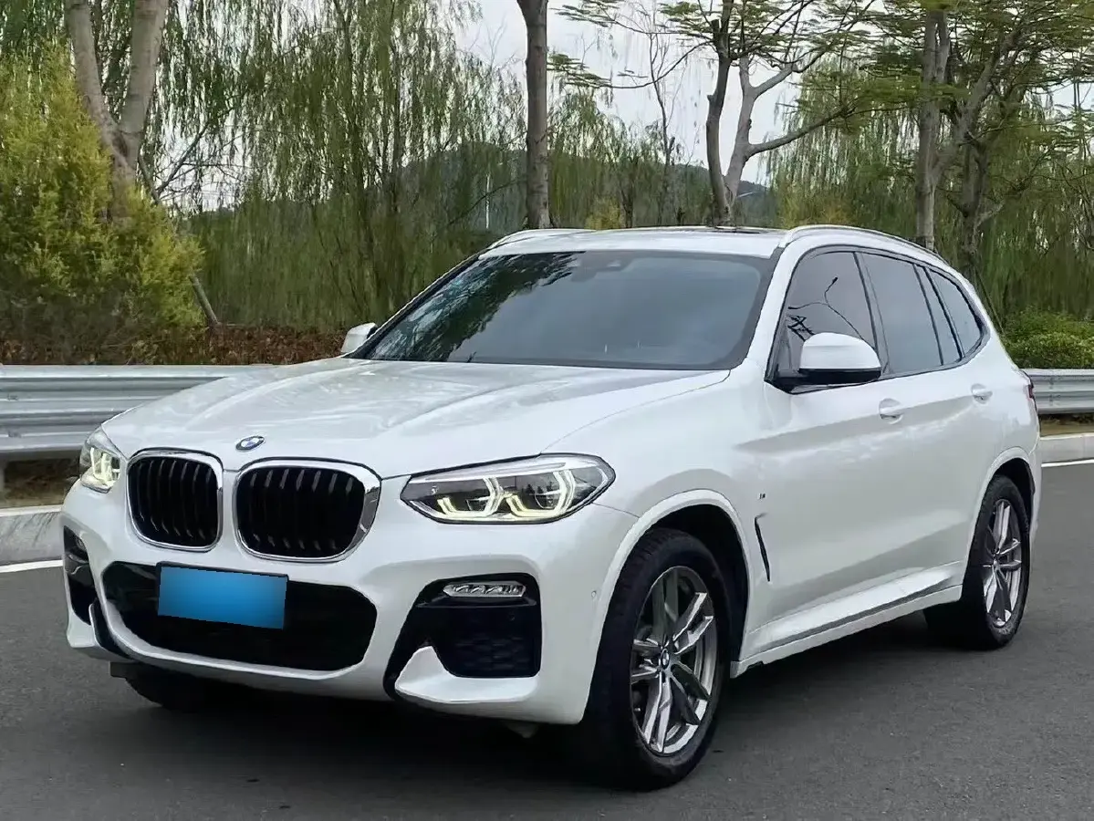 2019 BMW X3 2.0T 224HP L4 8AT