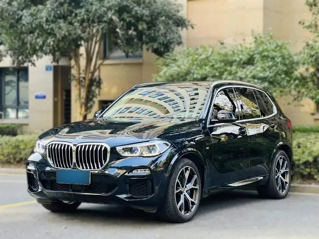 2019 BMW X5 3.0T 340HP L6 8AT
