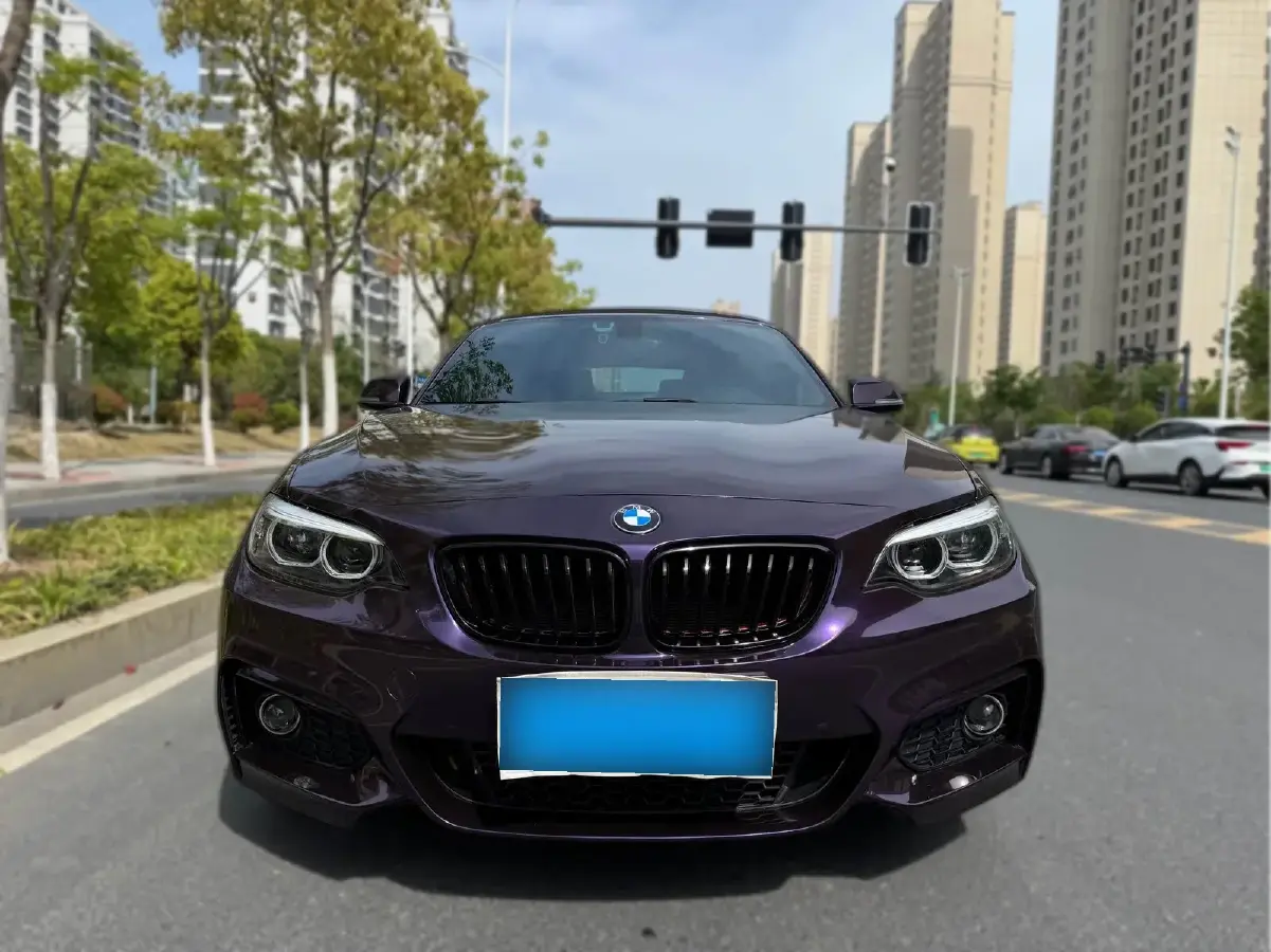 2018 BMW 2 Series 2.0T 184HP L4 8AT