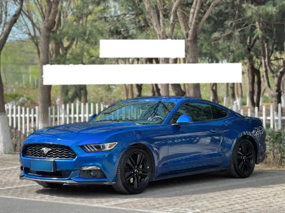 2017 Ford Mustang 2.3T 314HP L4 6AT
