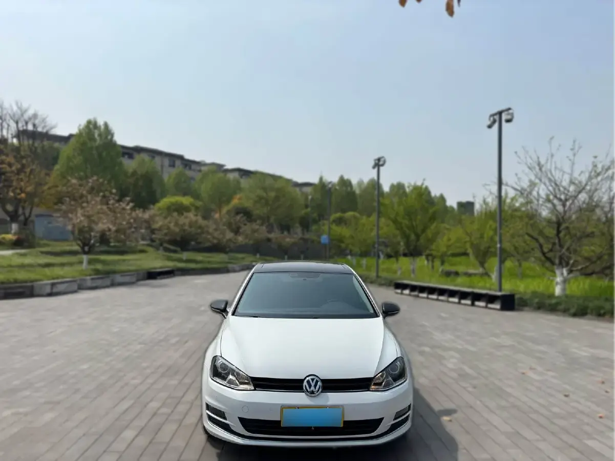 2017 Volkswagen Golf 1.6L 110HP L4 6AT