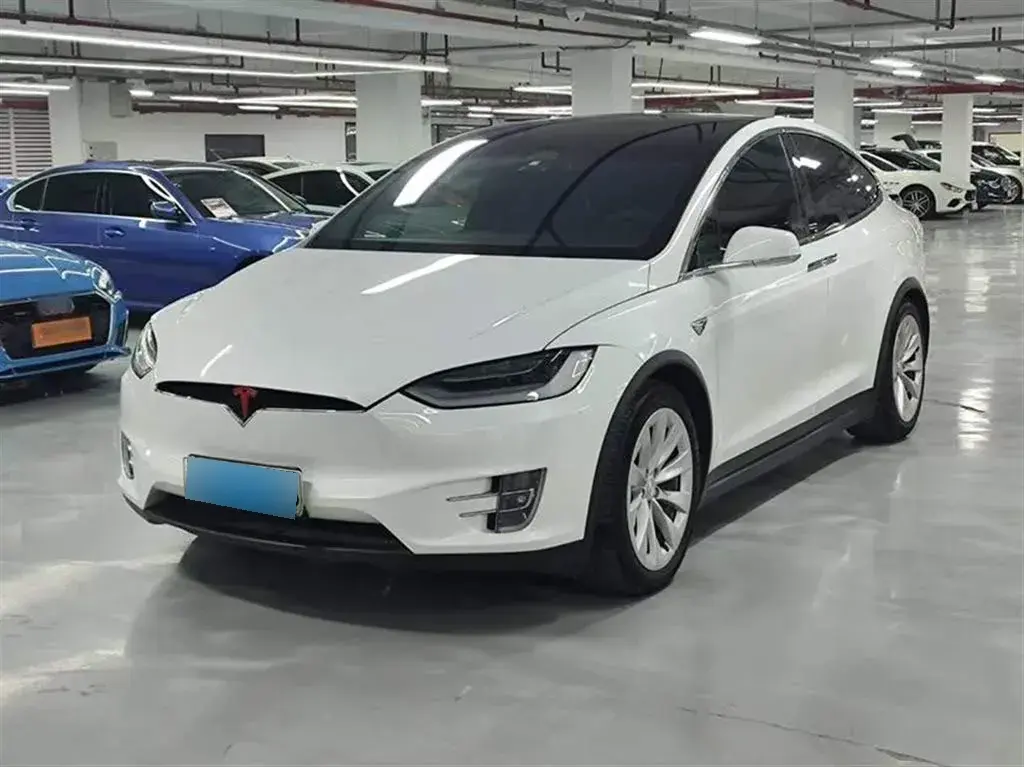 2020 Tesla Model X BEV 100KWH