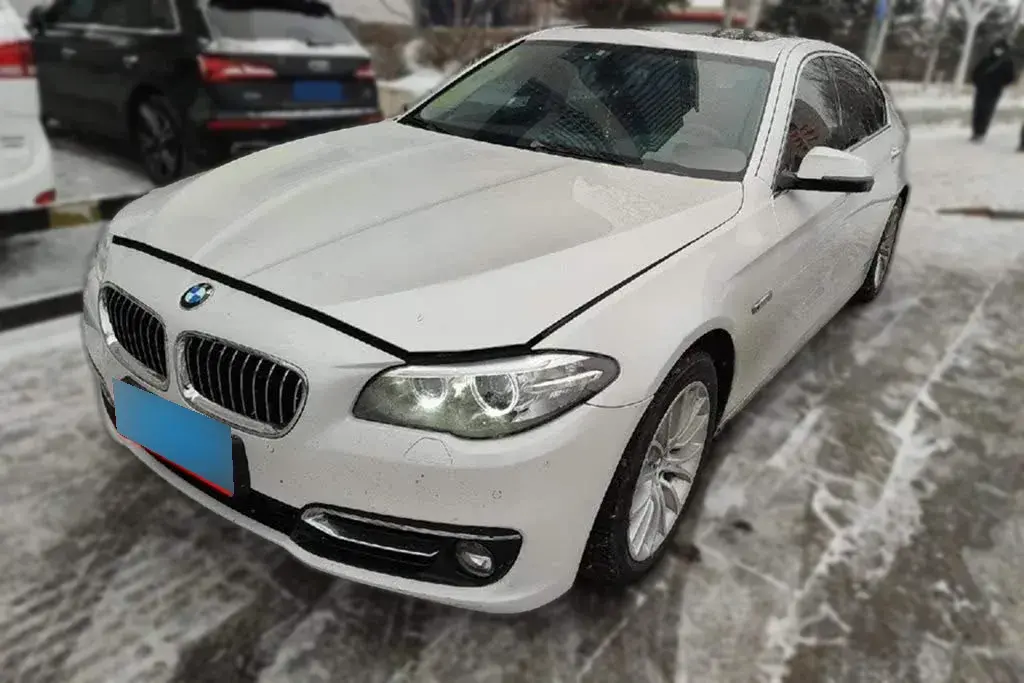 2017 BMW 5 Series 2.0T 218HP L4 8AT