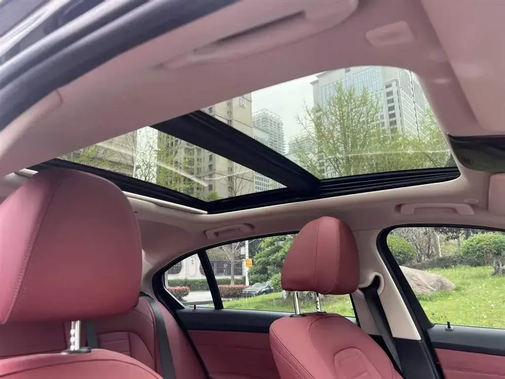 2021 BMW 3 Series 2.0T 184HP L4 8AT,autocango,china used car exporter,china ev exporter,chinese used car exporter,chinese used ev exporter