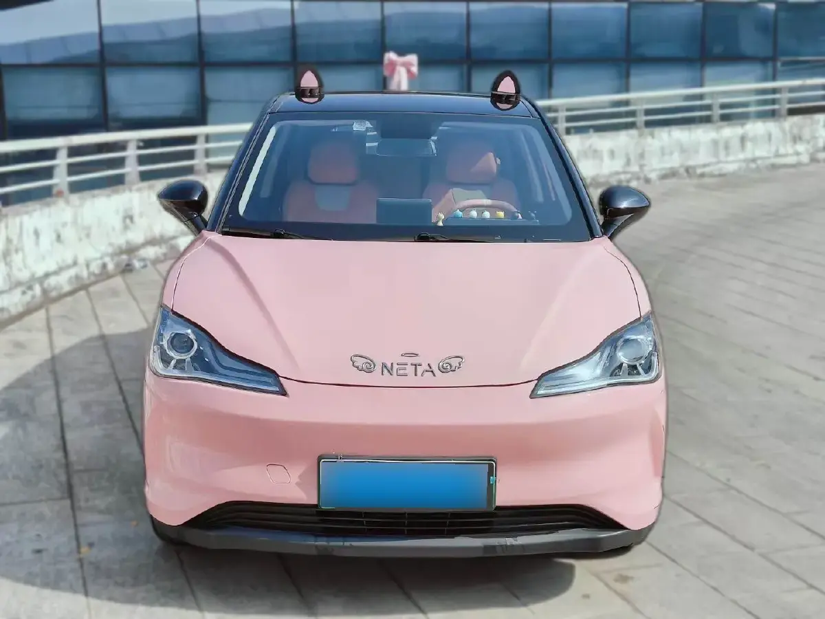 2022 Neta V BEV 38.54KWH