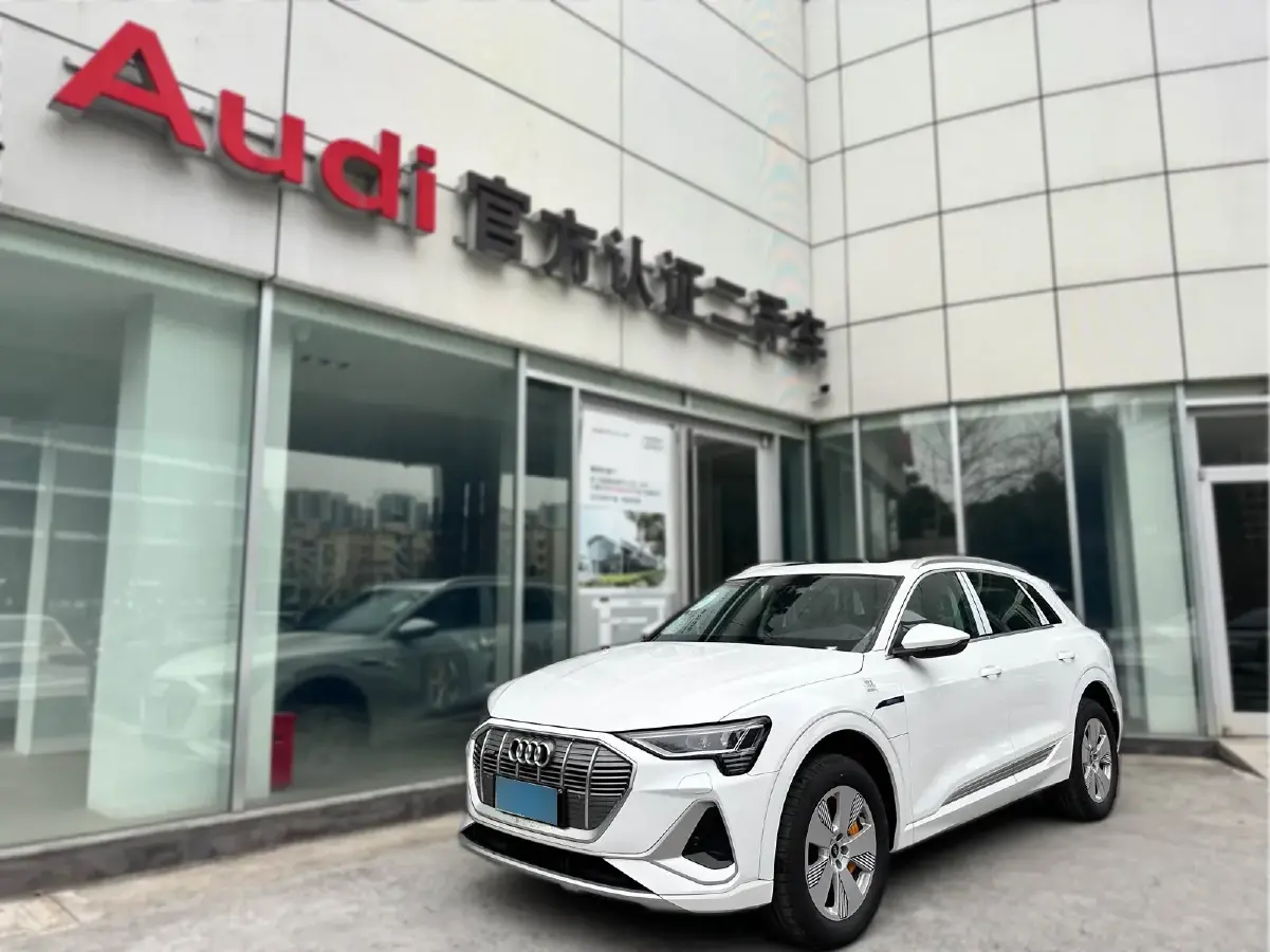 2021 Audi e-tron BEV 96.7KWH