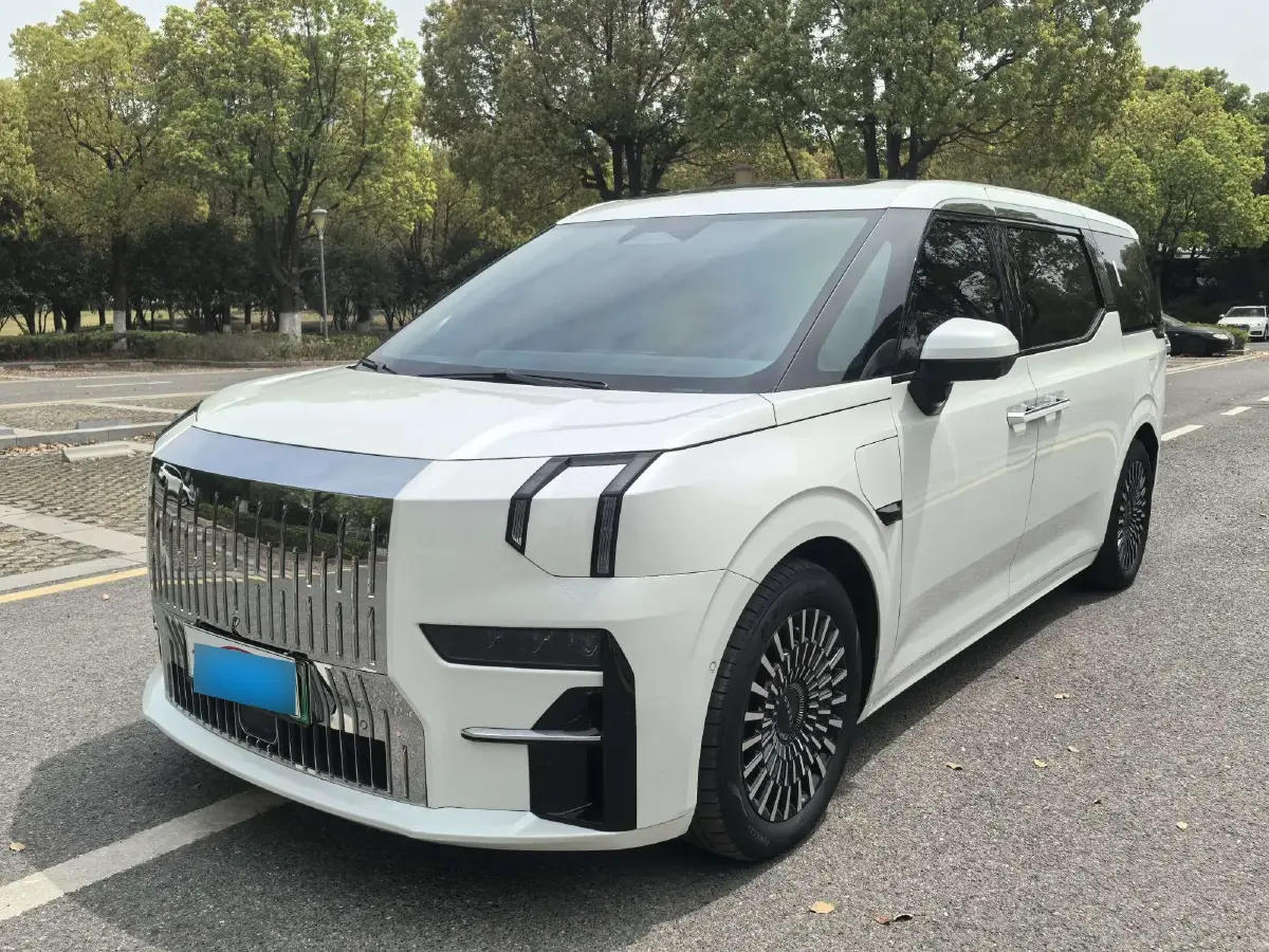 2022 Zeekr 009 BEV 116KWH