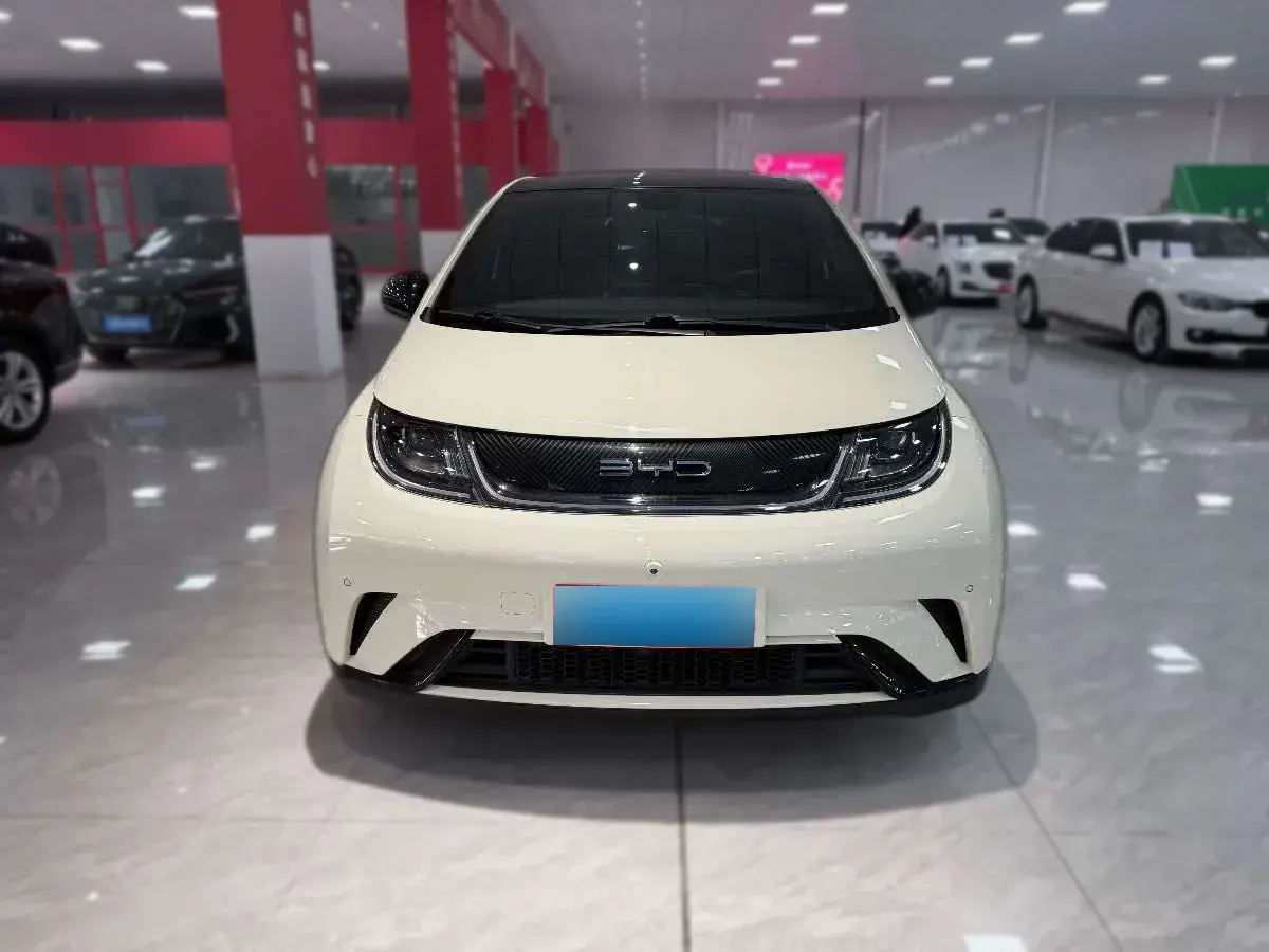 2023 BYD Dolphin BEV 44.928KWH