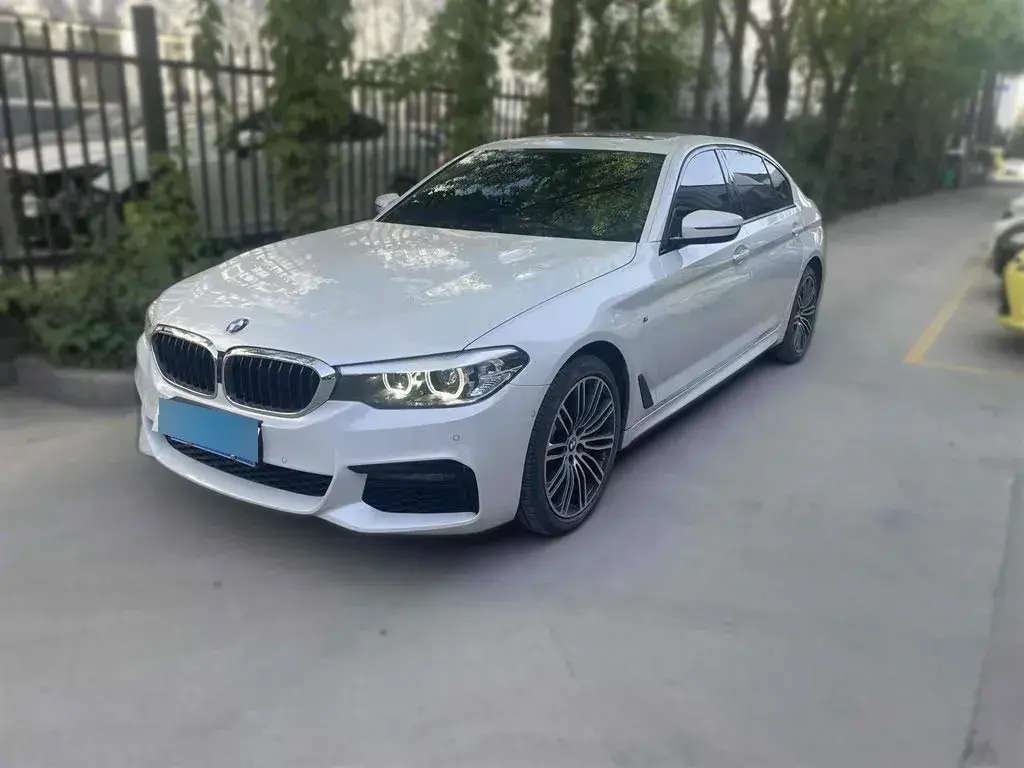 2019 BMW 5 Series 2.0T 252HP L4 8AT