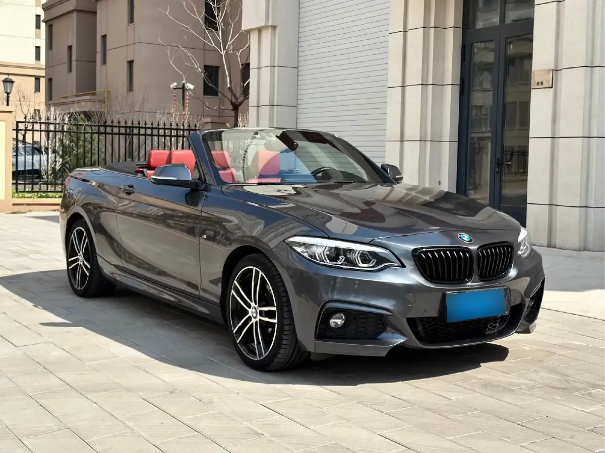 2019 BMW 2 Series 2.0T 184HP L4 8AT