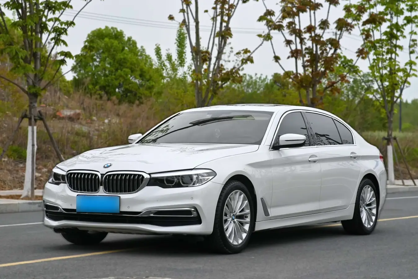 2019 BMW 5 Series 2.0T 184HP L4 8AT