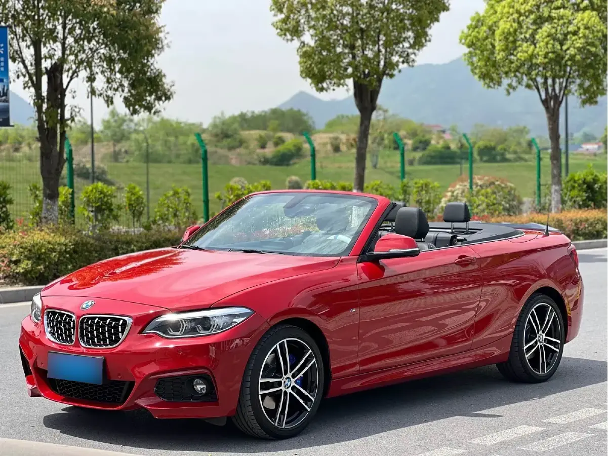 2019 BMW 2 Series 2.0T 184HP L4 8AT