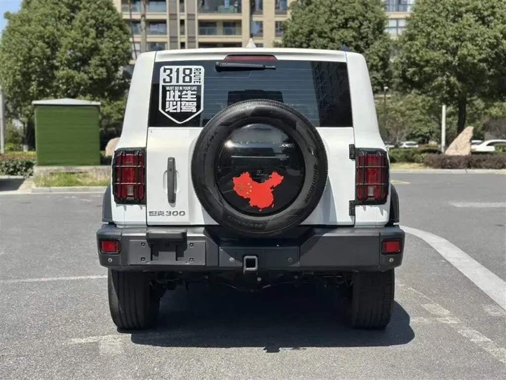 2023 Tank 300 2.0T 227HP L4 8AT,autocango,china used car exporter,china ev exporter,chinese used car exporter,chinese used ev exporter