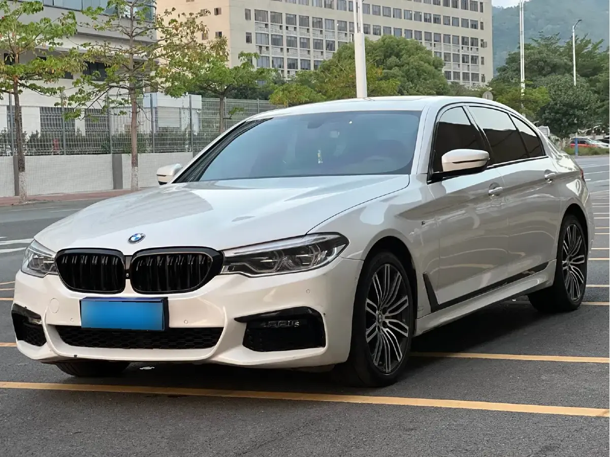 2019 BMW 5 Series 2.0T 252HP L4 8AT
