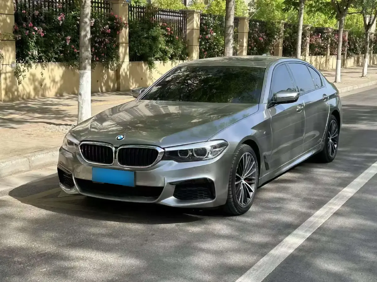 2019 BMW 5 Series 2.0T 252HP L4 8AT