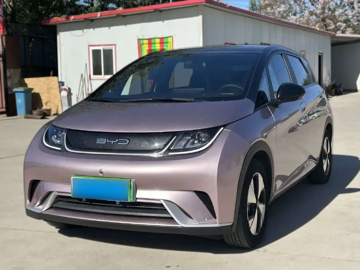 2023 BYD Dolphin BEV 44.928KWH
