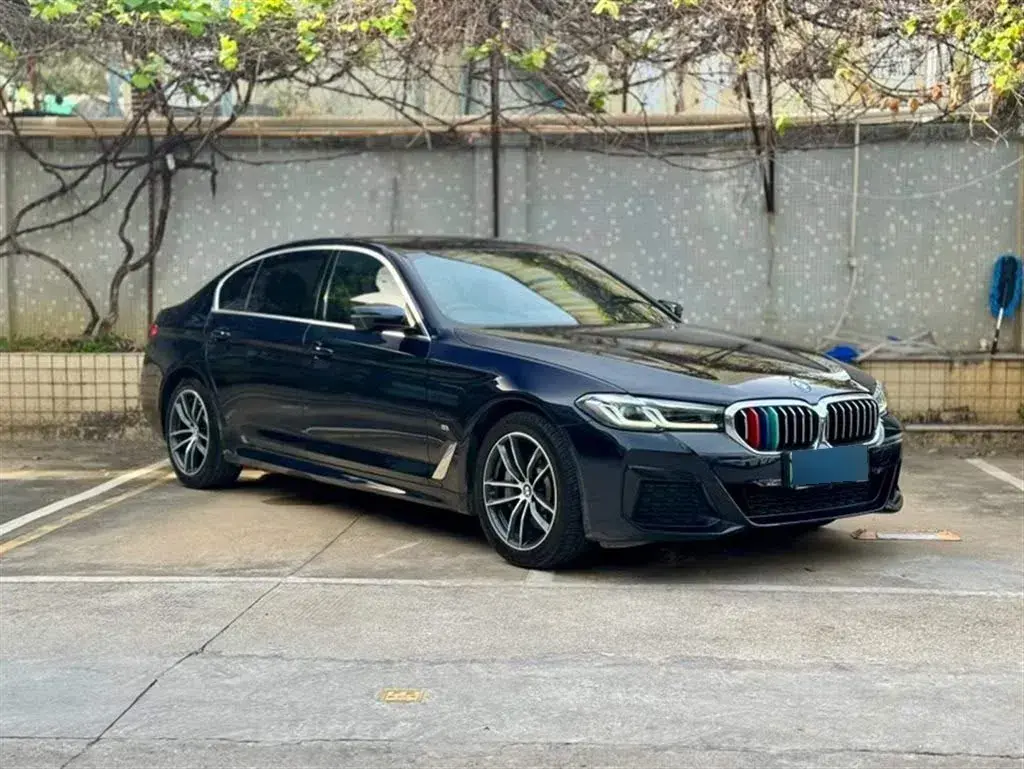 2021 BMW 5 Series 2.0T 184HP L4 8AT PHEV 17.7KWH