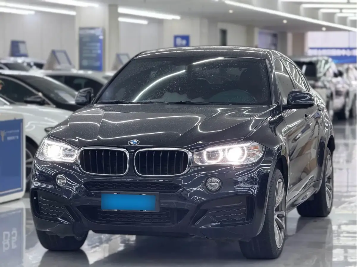 2018 BMW X6 2.0T 245HP L4 8AT