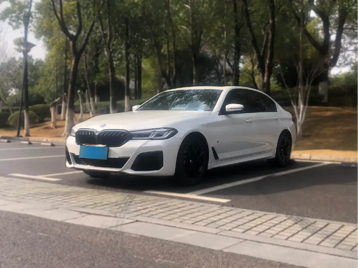 2021 BMW 5 Series 2.0T 252HP L4 8AT