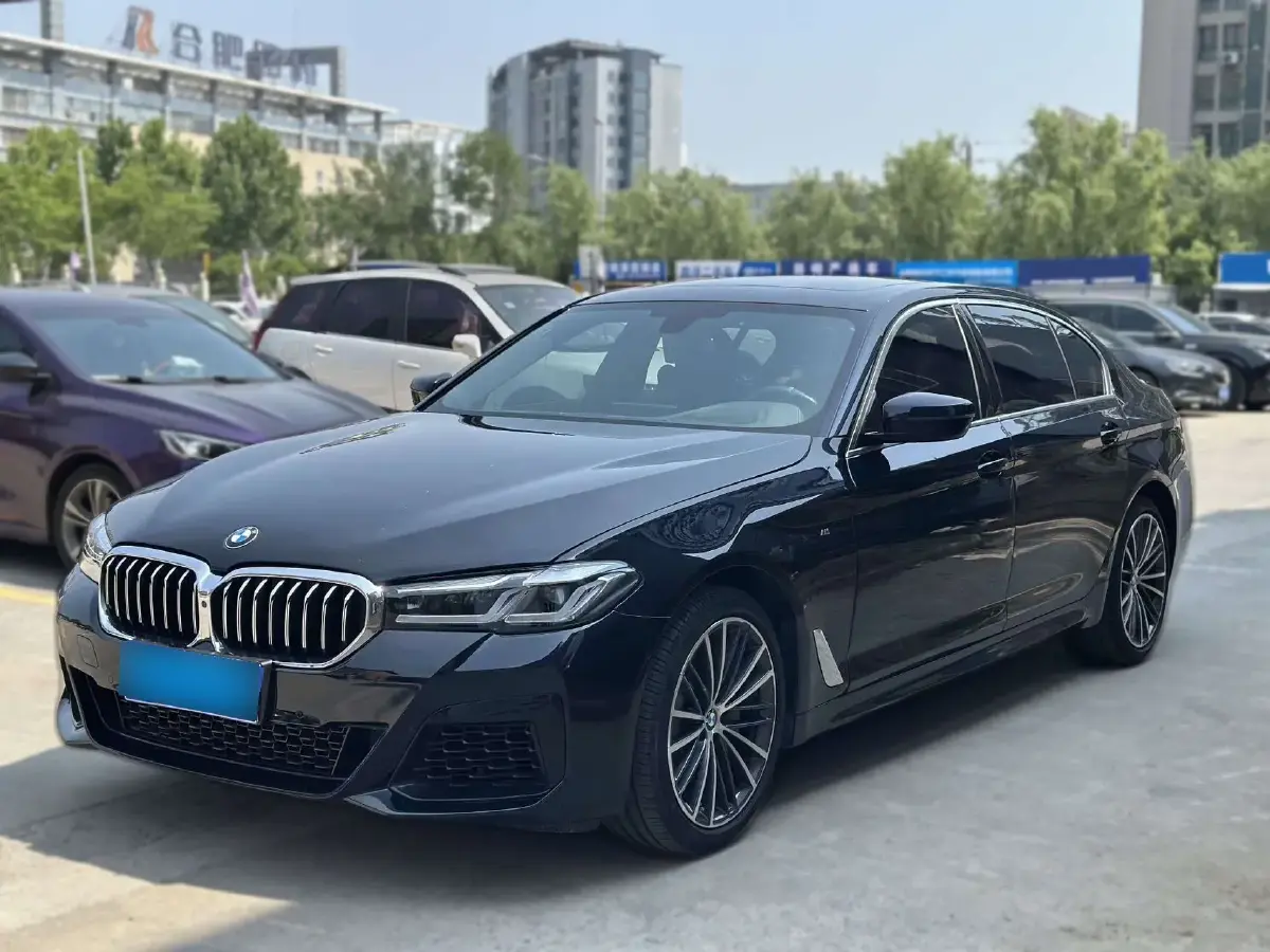 2020 BMW 5 Series 2.0T 252HP L4 8AT