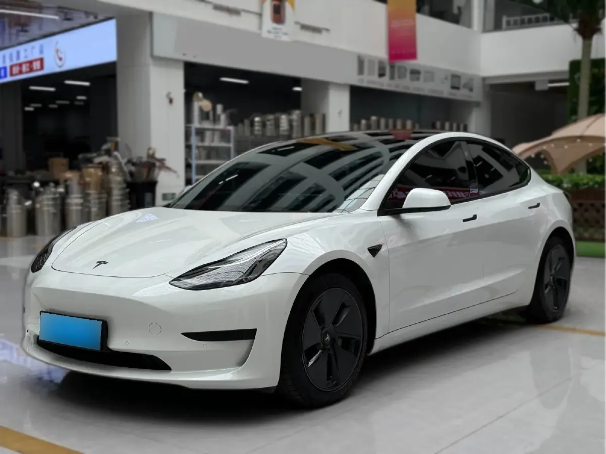 2021 Tesla Model 3 BEV 55KWH 2021 Tesla Model 3 BEV 55KWH