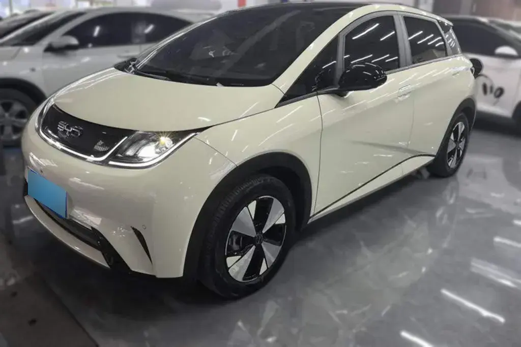 2021 BYD Dolphin BEV 44.9KWH