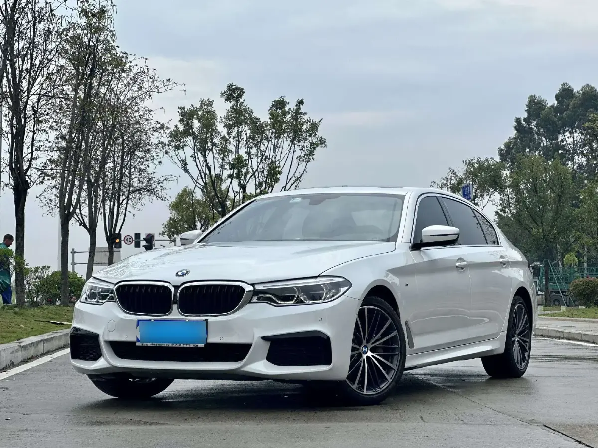 2020 BMW 5 Series 2.0T 252HP L4 8AT