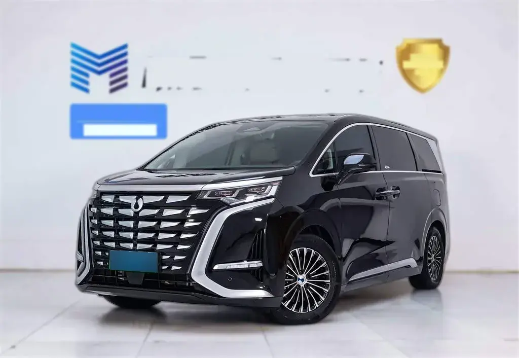 2022 Denza D9 1.5T 139HP L4 E-CVT PHEV 40.06KWH