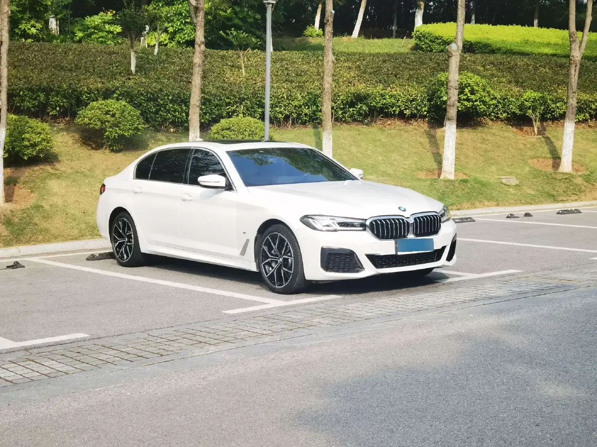 2021 BMW 5 Series 2.0T 252HP L4 8AT