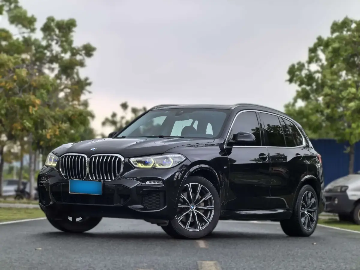 2019 BMW X5 3.0T 340HP L6 8AT