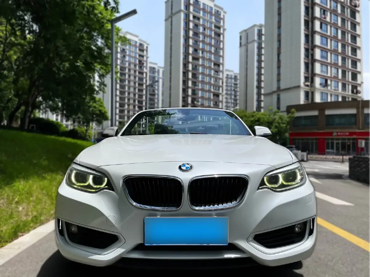 2015 BMW 2 Series 1.5T 136HP L3 8AT 2015 BMW 2 Series 1.5T 136HP L3 8AT