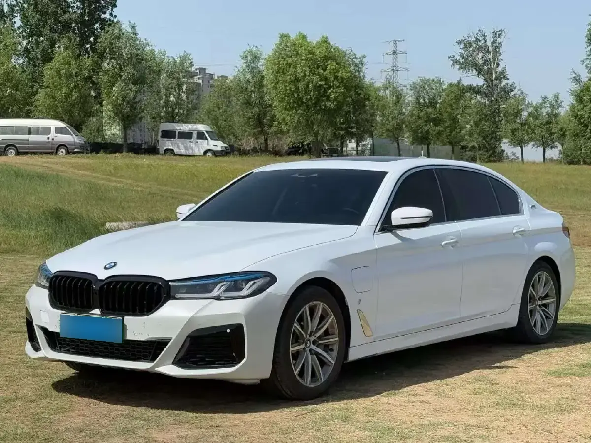 2018 BMW 5 Series 2.0T 184HP L4 8AT PHEV 13KWH