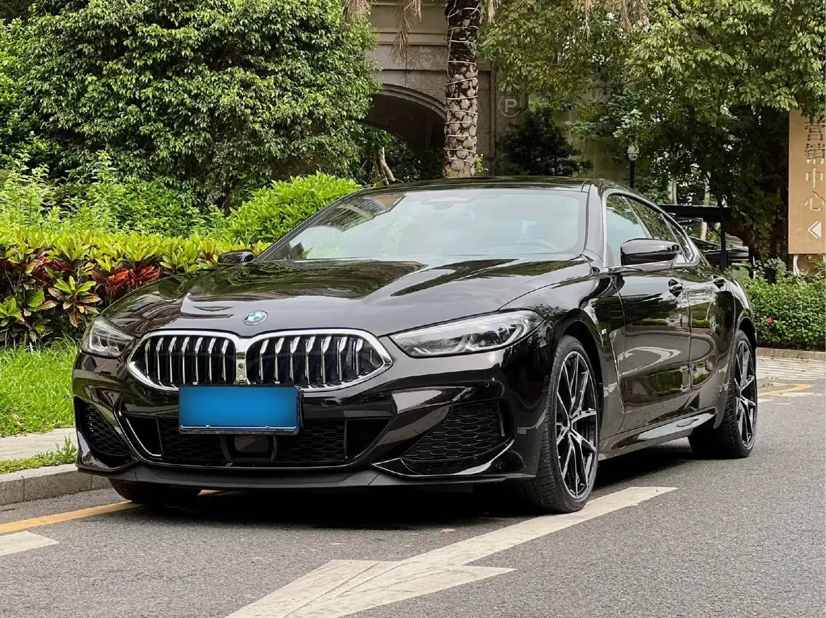 2019 BMW 8 Series 3.0T 340HP L6 8AT
