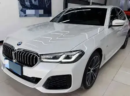 2020 BMW 5 Series 2.0T 252HP L4 8AT
