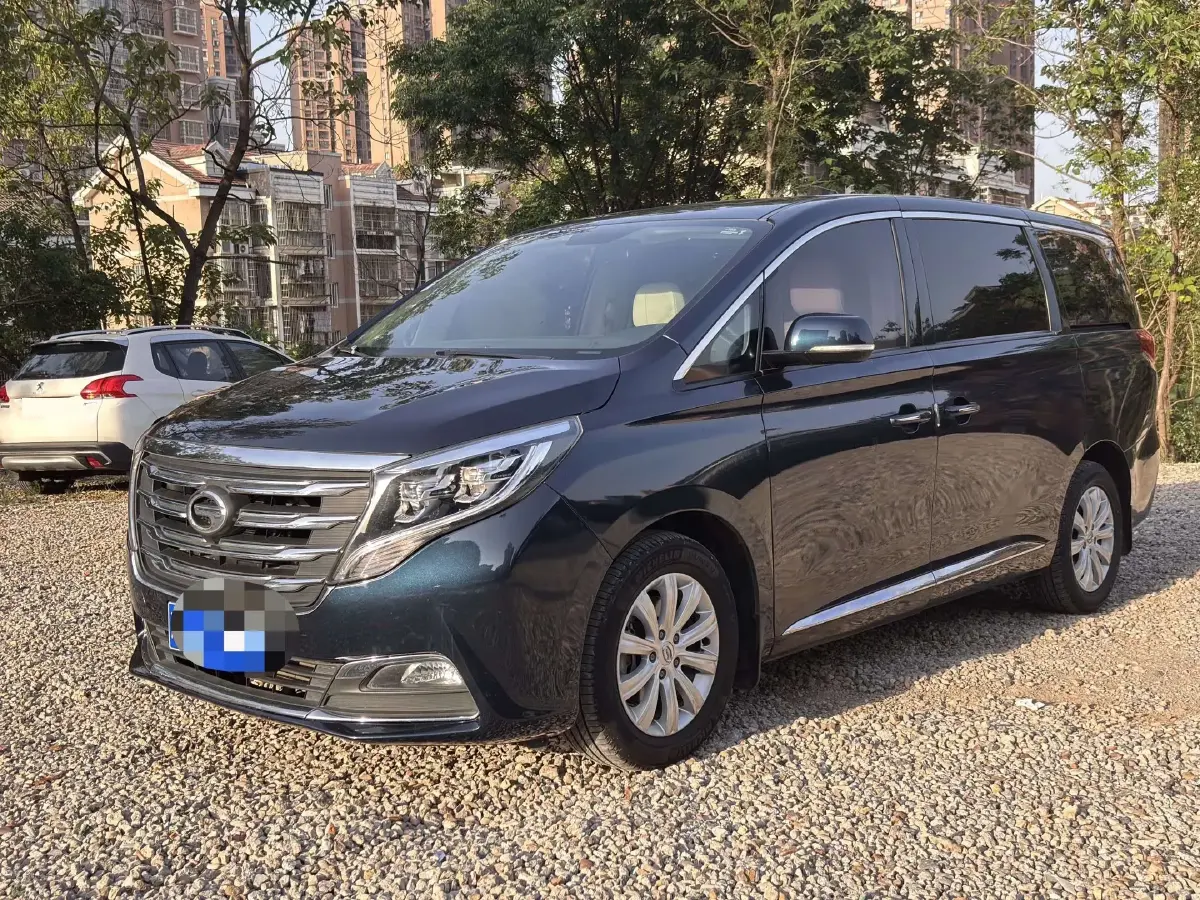 2018 GAC Trumpchi M8 2.0T 201HP L4 6AT