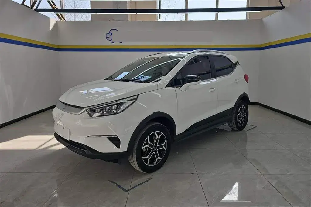 2021 BYD Yuan Pro BEV 50.1KWH